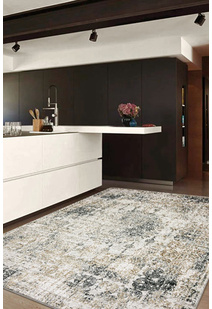 Saul Transitional Medallion Rug