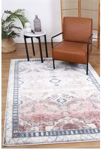 Suvi Transitional Medallion Rug