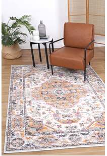 Suvi Transitional Medallion Rug