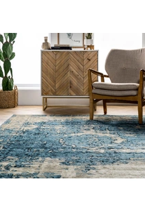 Ugo Overdyed Medallion Rug